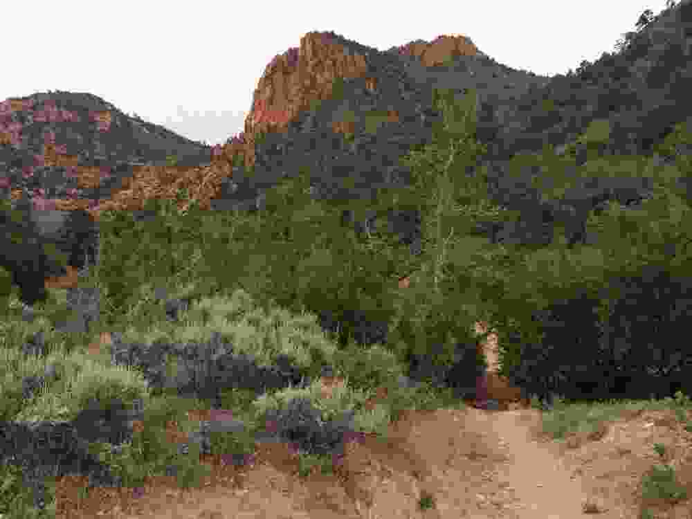 Spring Creek Trail view with green foilage near St George Utah